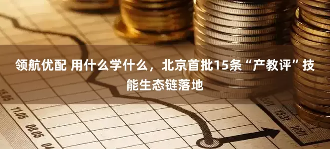 领航优配 用什么学什么，北京首批15条“产教评”技能生态链落地