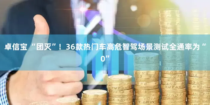 卓信宝 “团灭”！36款热门车高危智驾场景测试全通率为“0”
