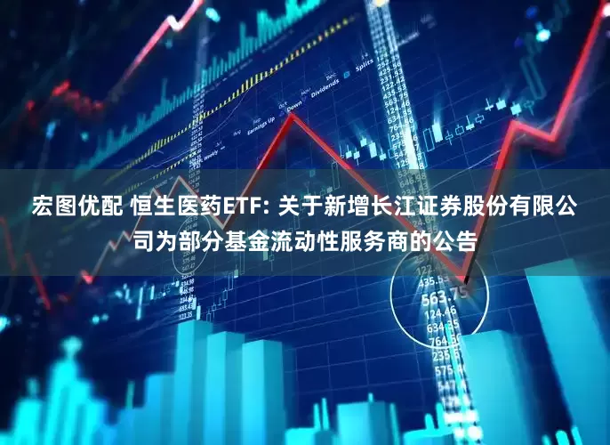 宏图优配 恒生医药ETF: 关于新增长江证券股份有限公司为部分基金流动性服务商的公告